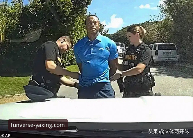 老虎伍兹药物驾驶事件详解：从赛场传奇到法律困境